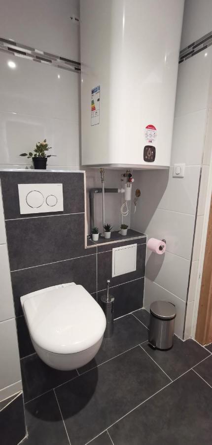 Апартаменти App 11 Mulhouse Centre , 4 Personnes Екстер'єр фото